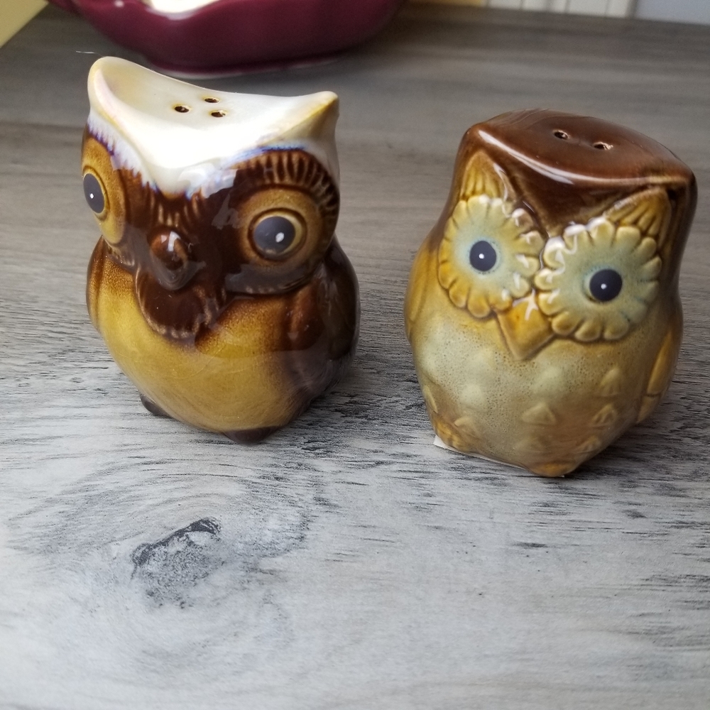 Burton+Burton Owl Ceramic Salt and Pepper Shakers